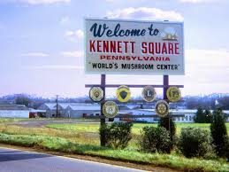 Kennett Square Pennsylvania Lawyers